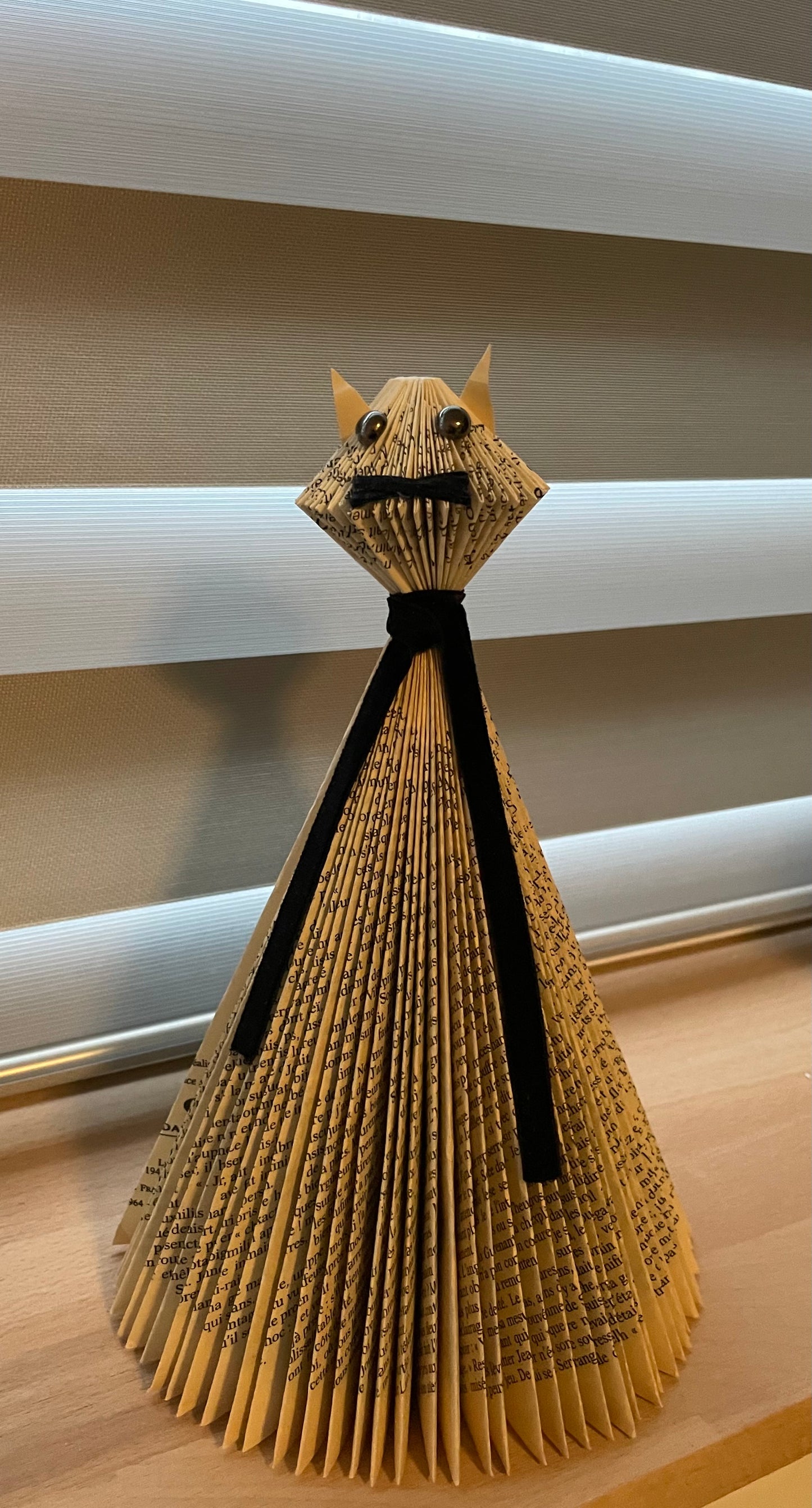 Chat noir